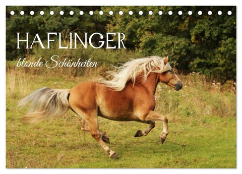 Haflinger - blonde Schönheiten (Tischkalender 2027 DIN A5 quer), CALVENDO Monatskalender