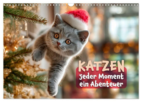 Katzen - Jeder Moment ein Abenteuer (Wandkalender 2027 DIN A3 quer), CALVENDO Monatskalender
