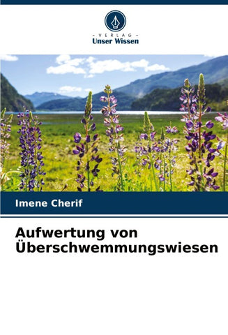 Aufwertung von Überschwemmungswiesen