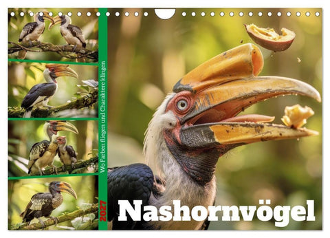 Nashornvögel (Wandkalender 2027 DIN A4 quer), CALVENDO Monatskalender