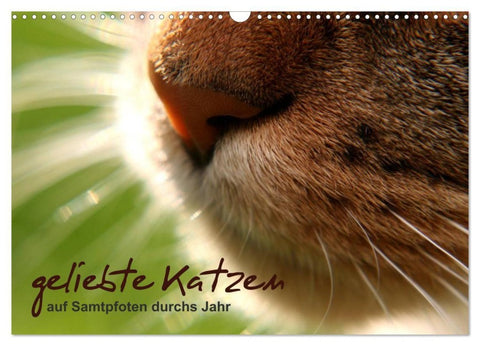 geliebte Katzen - auf Samtpfoten durchs Jahr (Wandkalender 2027 DIN A3 quer), CALVENDO Monatskalender