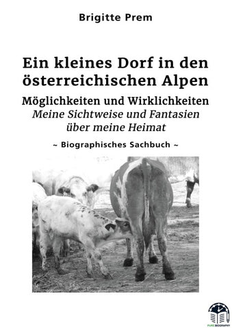 Ein kleines Dorf in den österreichischen Alpen