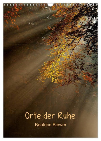 Orte der Ruhe (Wandkalender 2027 DIN A3 hoch), CALVENDO Monatskalender
