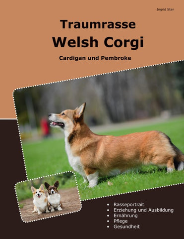 Traumrasse Welsh Corgi