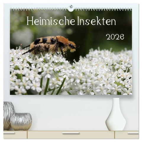 Heimische Insekten 2026 (hochwertiger Premium Wandkalender 2026 DIN A2 quer), Kunstdruck in Hochglanz