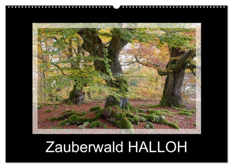 Zauberwald HALLOH (Wandkalender 2026 DIN A2 quer), CALVENDO Monatskalender