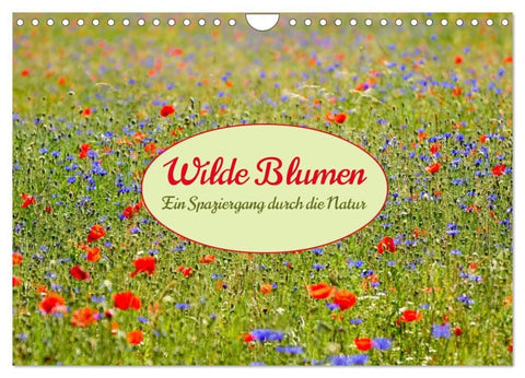 Wilde Blumen - ein Spaziergang durch die Natur (Wandkalender 2027 DIN A4 quer), CALVENDO Monatskalender