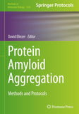 Protein Amyloid Aggregation