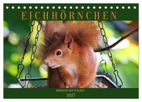 Eichhörnchen, Kobolde des Waldes (Tischkalender 2027 DIN A5 quer), CALVENDO Monatskalender