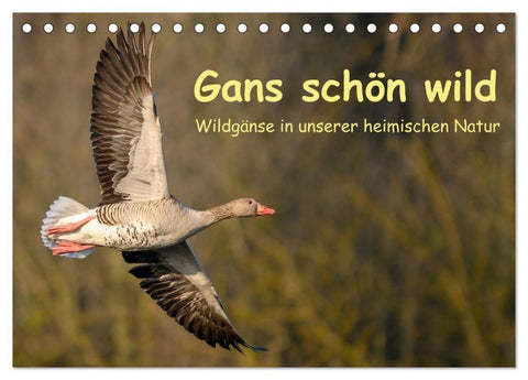 Gans schön wild (Tischkalender 2027 DIN A5 quer), CALVENDO Monatskalender