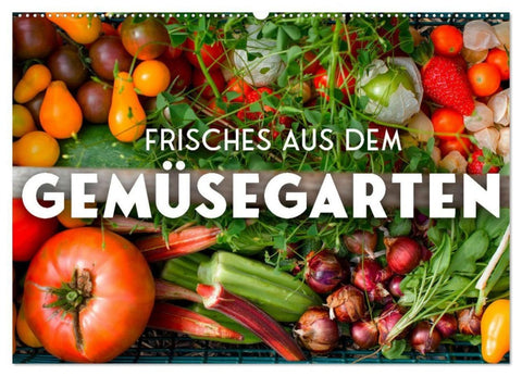 Frisches aus dem Gemüsegarten (Wandkalender 2027 DIN A2 quer), CALVENDO Monatskalender