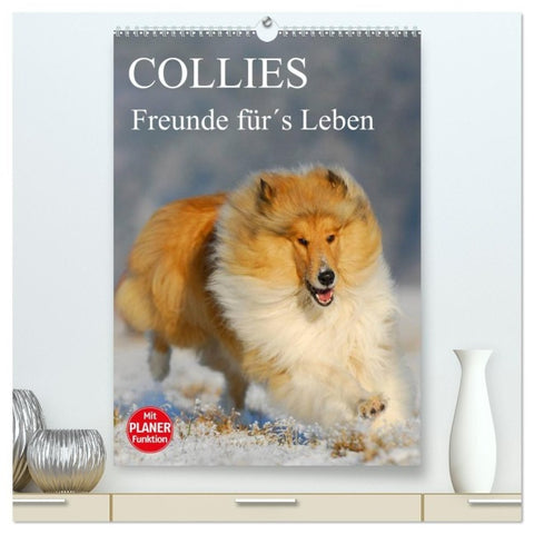 Collies - Freunde für´s Leben (hochwertiger Premium Wandkalender 2027 DIN A2 hoch), Kunstdruck in Hochglanz