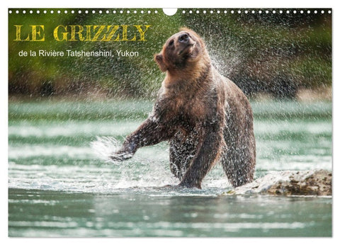 LE GRIZZLY de la Rivière Tatshenshini. Yukon (Calendrier mural 2027 DIN A3 vertical), CALVENDO calendrier mensuel