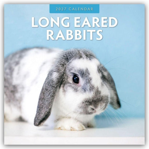 Long Eared Rabbits – Langohrhasen 2027 – 16-Monatskalender