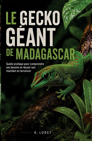 Le gecko géant de Madagascar