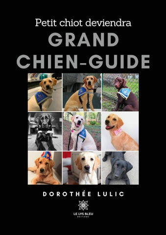 Petit chiot deviendra grand chien-guide