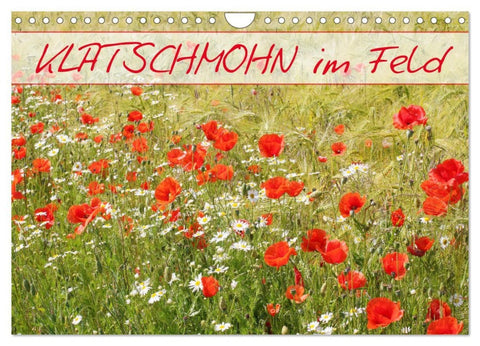 Klatschmohn im Feld (Wandkalender 2026 DIN A4 quer), CALVENDO Monatskalender