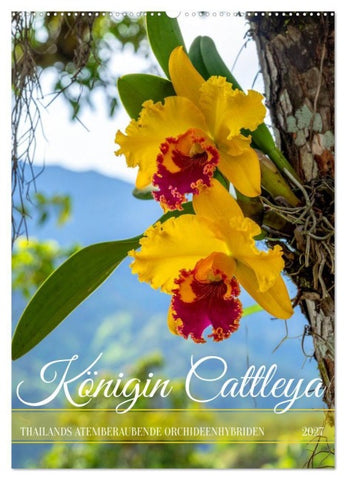 Königin Cattleya (Wandkalender 2027 DIN A2 hoch), CALVENDO Monatskalender