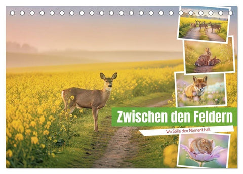 Zwischen den Feldern (Tischkalender 2027 DIN A5 quer), CALVENDO Monatskalender