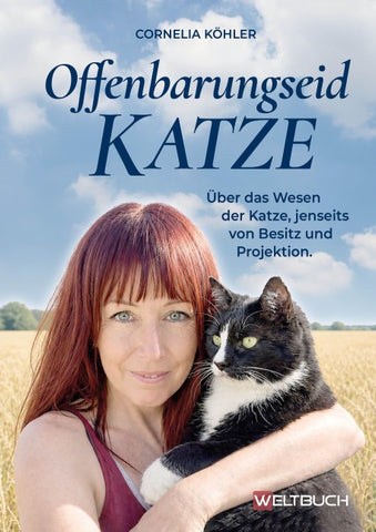 Offenbarungseid Katze