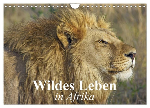 Wildes Leben in Afrika (Wandkalender 2027 DIN A4 quer), CALVENDO Monatskalender