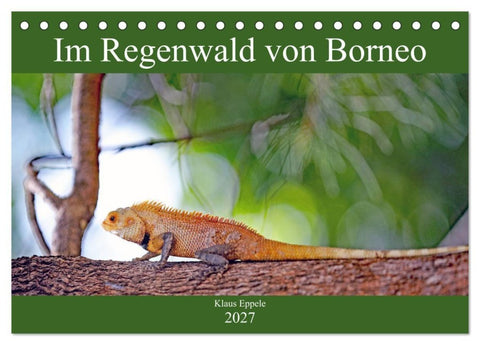 Im Regenwald von Borneo (Tischkalender 2027 DIN A5 quer), CALVENDO Monatskalender