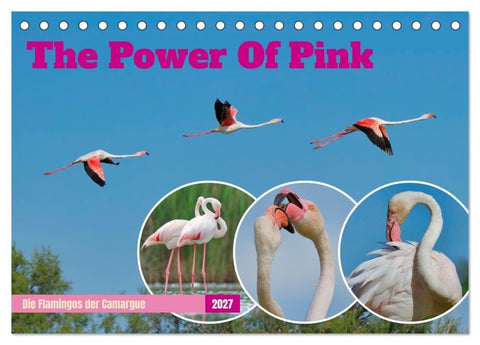 The Power Of Pink (Tischkalender 2027 DIN A5 quer), CALVENDO Monatskalender