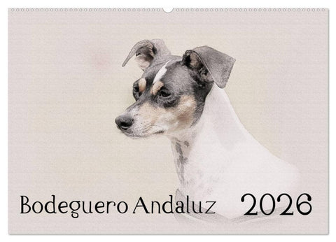Bodeguero Andaluz 2026 (Wandkalender 2026 DIN A2 quer), CALVENDO Monatskalender