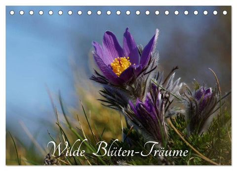 Wilde Blüten-Träume (Tischkalender 2027 DIN A5 quer), CALVENDO Monatskalender