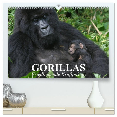 Gorillas. Friedliebende Kraftpakete (hochwertiger Premium Wandkalender 2026 DIN A2 quer), Kunstdruck in Hochglanz