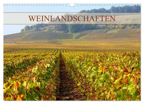 Weinlandschaften (Wandkalender 2027 DIN A3 quer), CALVENDO Monatskalender