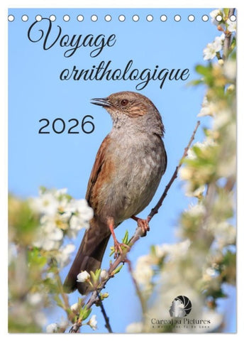 Voyage ornithologique (Calendrier de bureau 2027 DIN A5 horizontal), CALVENDO calendrier mensuel