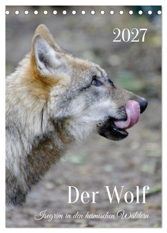 Der Wolf - Isegrim in den heimischen Wäldern - Kalender 2027 (Tischkalender 2027 DIN A5 hoch), CALVENDO Monatskalender