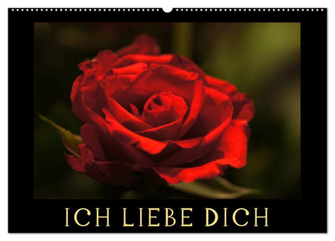 Ich liebe Dich (Wandkalender 2026 DIN A2 quer), CALVENDO Monatskalender