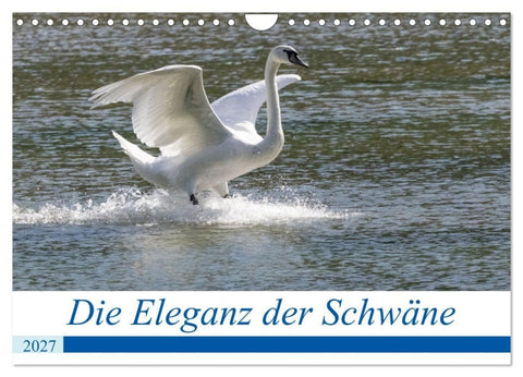 Die Eleganz der Schwäne (Wandkalender 2027 DIN A4 quer), CALVENDO Monatskalender