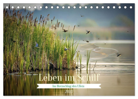 Leben im Schilf (Tischkalender 2027 DIN A5 quer), CALVENDO Monatskalender