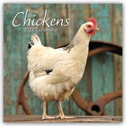 Chickens – Hühner 2027 – 16-Monatskalender