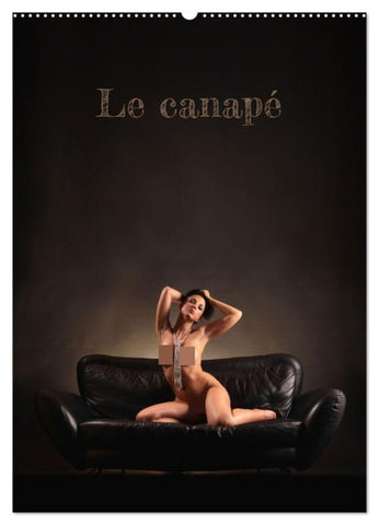 Le canapé (Calendrier mural 2027 DIN A2 horizontal), CALVENDO calendrier mensuel