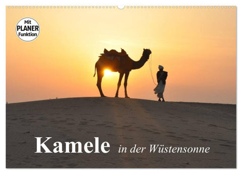 Kamele in der Wüstensonne (Wandkalender 2026 DIN A2 quer), CALVENDO Monatskalender