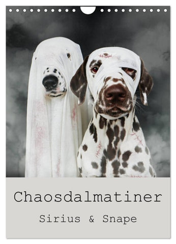 Chaosdalmatiner Sirius und Snape (Wandkalender 2027 DIN A4 hoch), CALVENDO Monatskalender