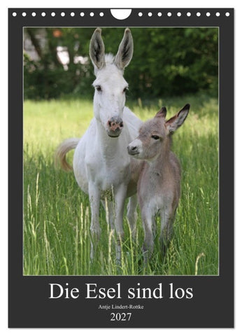 Die Esel sind los (Wandkalender 2027 DIN A4 hoch), CALVENDO Monatskalender