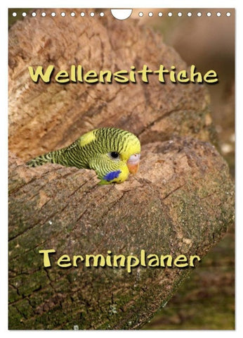 Wellensittiche Terminplaner (Wandkalender 2027 DIN A4 hoch), CALVENDO Monatskalender