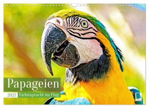 Papageien: Farbenpracht im Flug (Wandkalender 2027 DIN A3 quer), CALVENDO Monatskalender