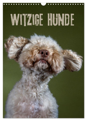 Witzige Hunde (Wandkalender 2026 DIN A3 hoch), CALVENDO Monatskalender