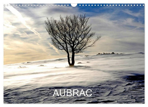 AUBRAC (Calendrier mural 2027 DIN A3 vertical), CALVENDO calendrier mensuel