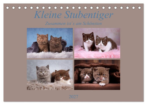 Kleine Stubenstiger (Tischkalender 2027 DIN A5 quer), CALVENDO Monatskalender