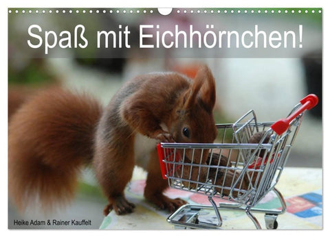 Spaß mit Eichhörnchen! (Wandkalender 2027 DIN A3 quer), CALVENDO Monatskalender