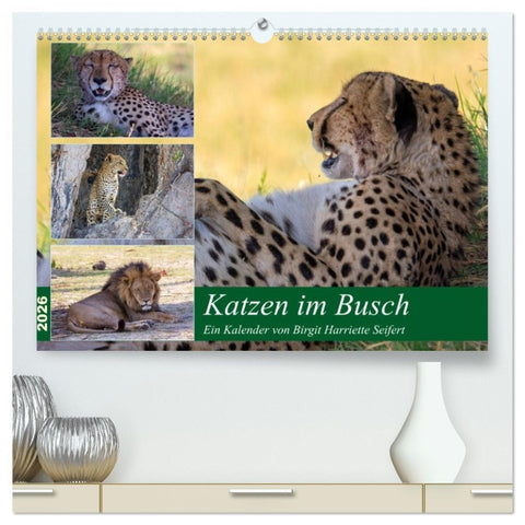 Katzen im Busch (hochwertiger Premium Wandkalender 2026 DIN A2 quer), Kunstdruck in Hochglanz