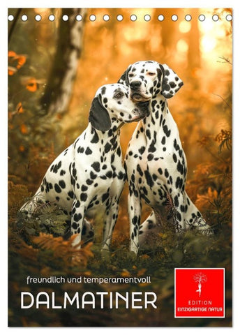 Dalmatiner - freundlich und temperamentvoll (Tischkalender 2026 DIN A5 hoch), CALVENDO Monatskalender