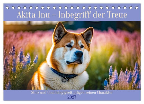 Akita Inu - Inbegriff der Treue (Tischkalender 2027 DIN A5 quer), CALVENDO Monatskalender